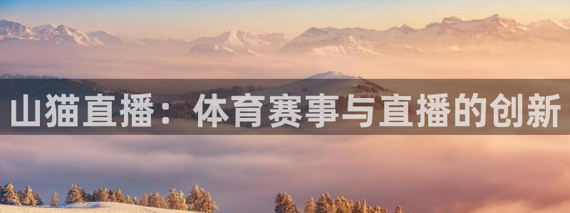 斗球体育下载：山猫直播：体育赛事与直播的创新
