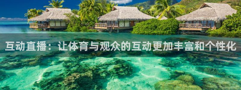 斗球直播免费观看：互动直播：让体育与观众的互动更加丰富和个性化