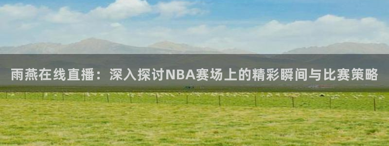 斗球直播app最新版本：雨燕在线直播：深入探讨NBA赛场上的精彩瞬间与比赛策略