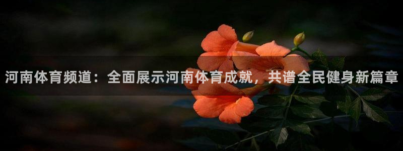 斗球免费直播平台：河南体育频道：全面展示河南体育成就，共谱全民健身新篇章