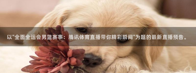 斗球直播官网app下载：以\